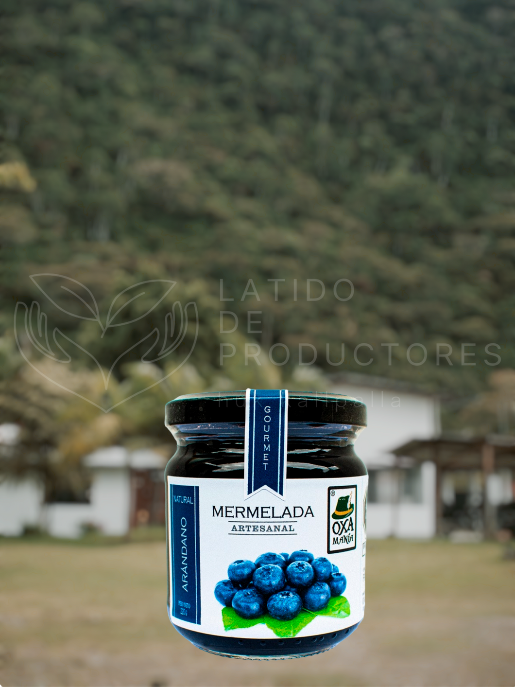 Mermelada Artesanal de Arándanos con Panela