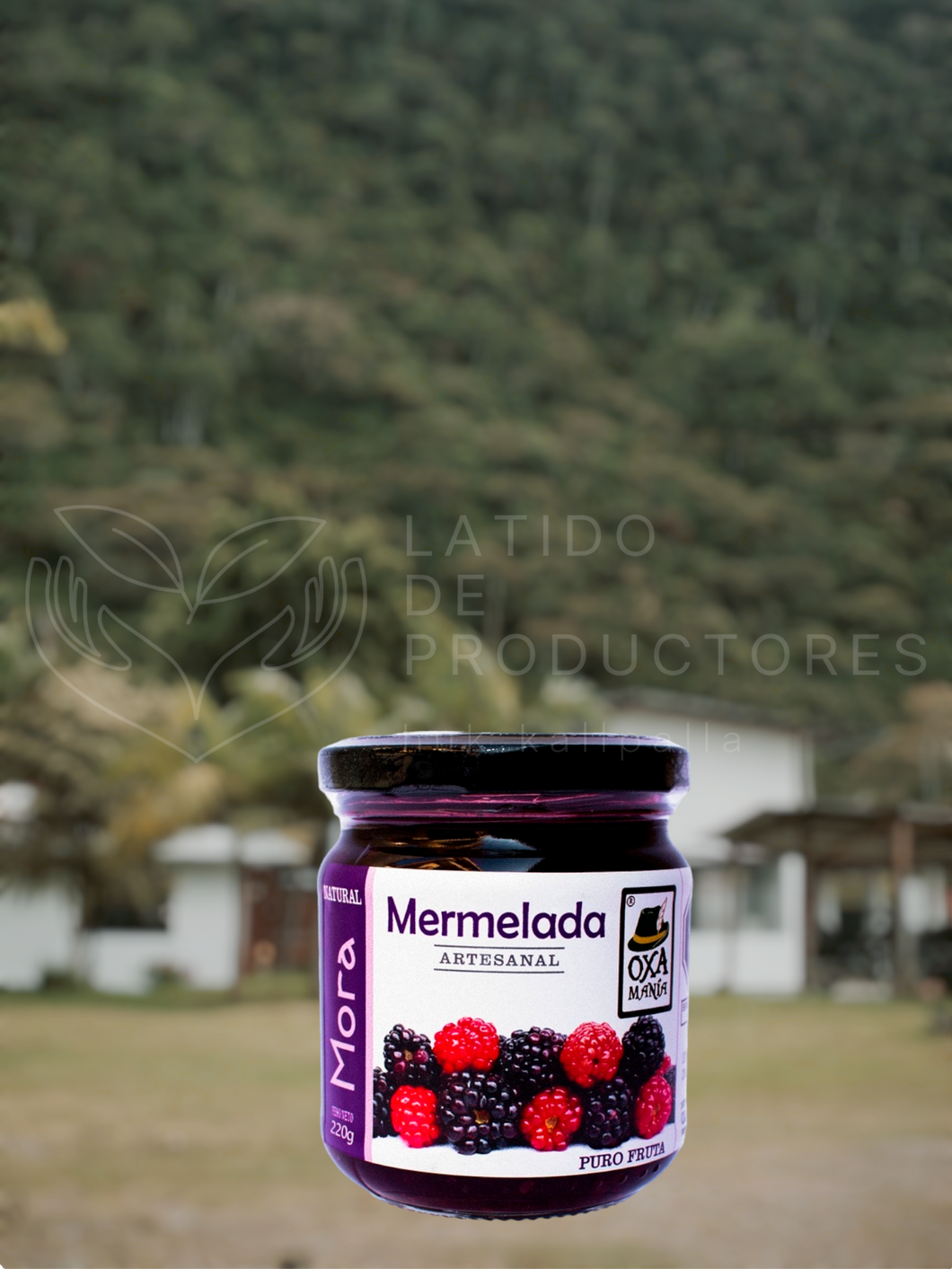 Mermelada Artesanal de Mora con Stevia