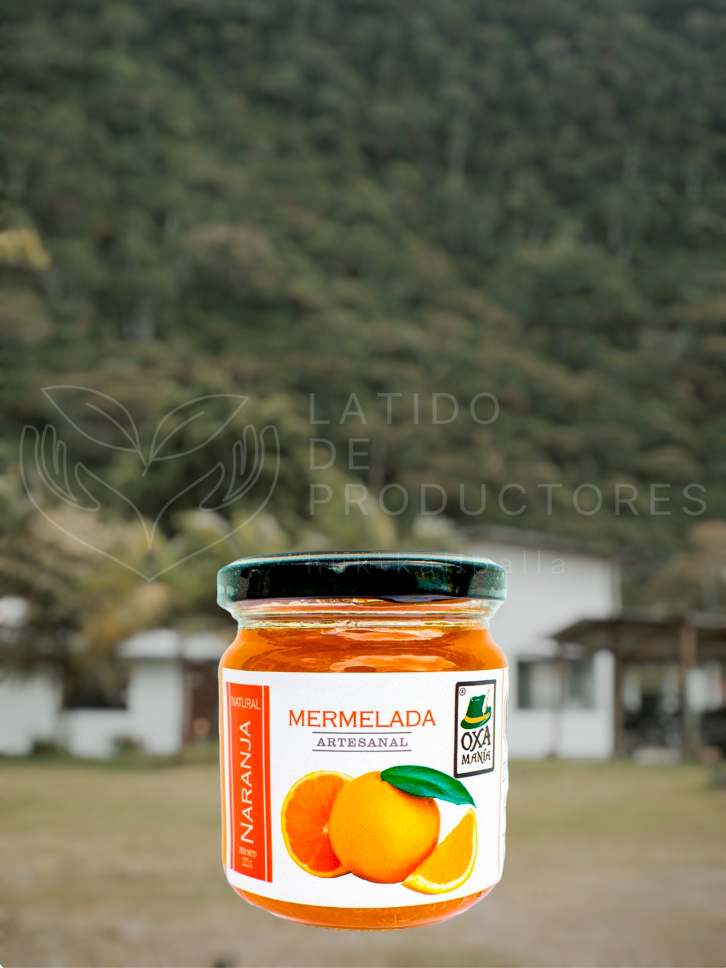 Mermelada Artesanal de Naranja